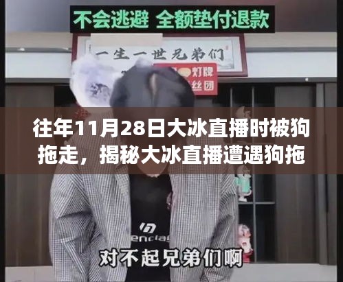 第2455页