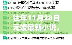 往年11月28日元媛最新小说详解与阅读攻略，轻松引领你进入学习之旅
