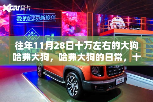 设备展示 第408页