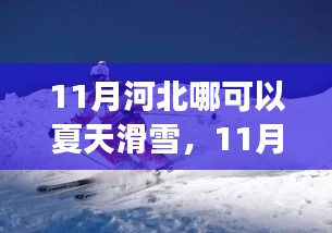 第2433页