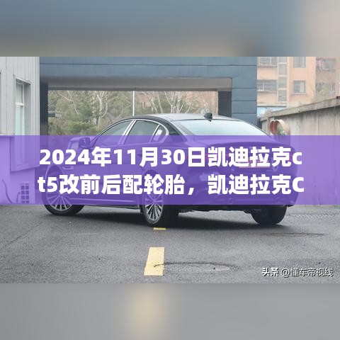 产品展示 第417页