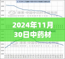 公司简介 第394页