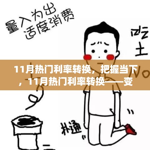 把握当下，迎接成长之翼——揭秘11月热门利率转换的秘密