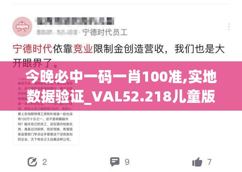 公司简介 第381页