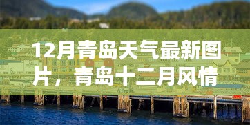 昙花一现 第4页
