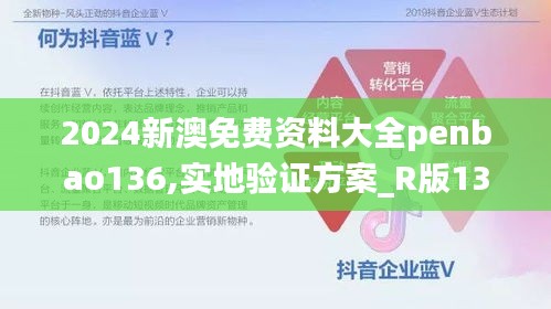 2024新澳免费资料大全penbao136,实地验证方案_R版13.240-1
