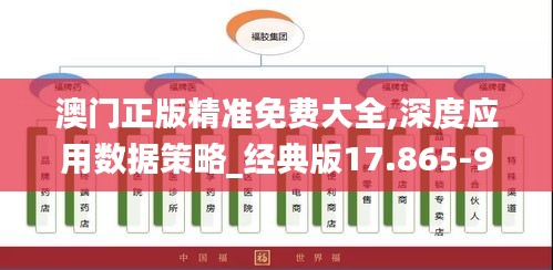 澳门正版精准免费大全,深度应用数据策略_经典版17.865-9