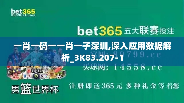一肖一码一一肖一子深圳,深入应用数据解析_3K83.207-1