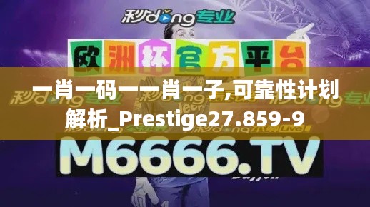 一肖一码一一肖一子,可靠性计划解析_Prestige27.859-9