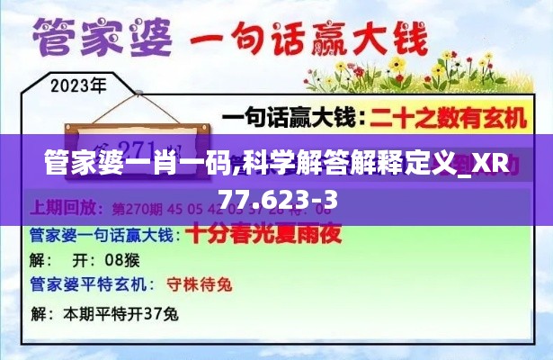 管家婆一肖一码,科学解答解释定义_XR77.623-3