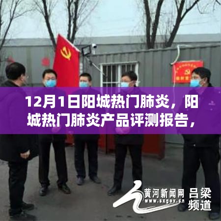阳城热门肺炎产品评测报告，特性、体验、竞品对比及用户群体深度分析