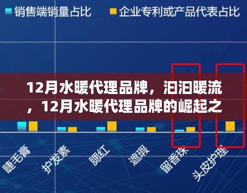 12月水暖代理品牌，汩汩暖流中的崛起之路