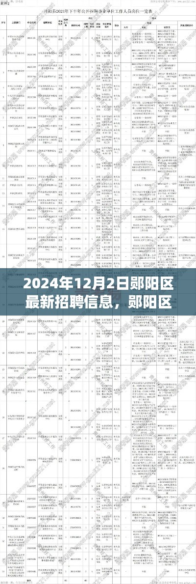 2024年郧阳区最新招聘信息发布，重塑职业格局的契机来临