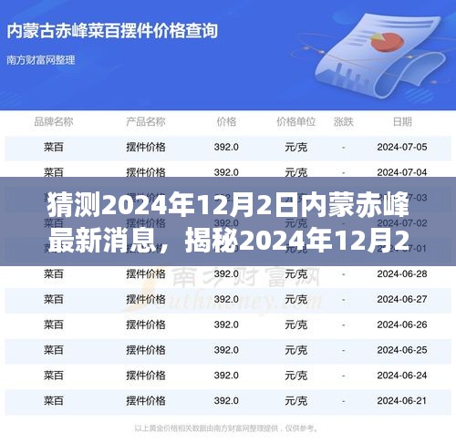 揭秘未来篇章，赤峰地区在2024年12月2日的最新发展与变迁内幕。