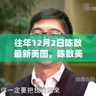 陈数美图盛典，往年12月2日的绝美瞬间，魅力四射的陈数美图展