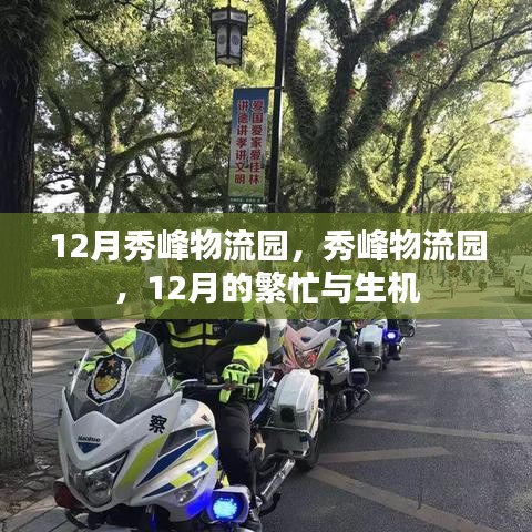 12月秀峰物流园的繁忙与生机