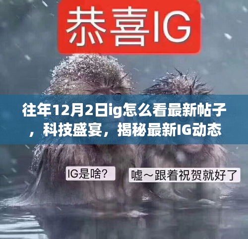 揭秘IG新功能，最新帖子浏览体验与震撼新功能登场！科技盛宴开启！