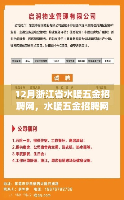 浙江省水暖五金招聘网里的暖心故事与十二月奇遇