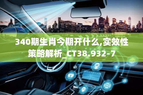 340期生肖今期开什么,实效性策略解析_CT38.932-7