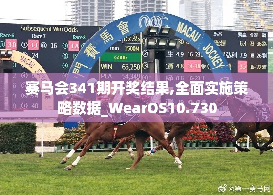 赛马会341期开奖结果,全面实施策略数据_WearOS10.730