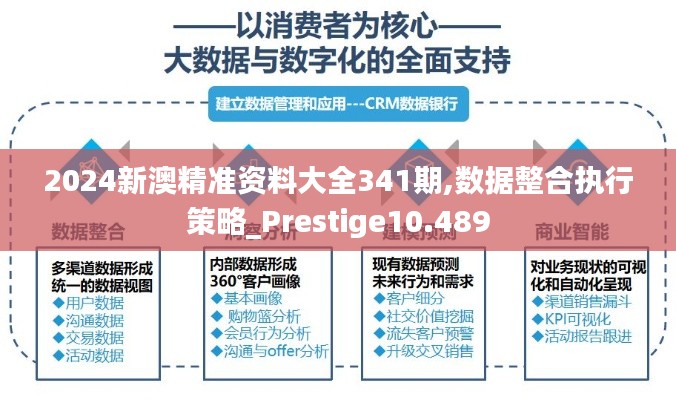 2024新澳精准资料大全341期,数据整合执行策略_Prestige10.489