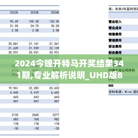 2024今晚开特马开奖结果341期,专业解析说明_UHD版8.684