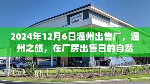 重张旗鼓 第4页