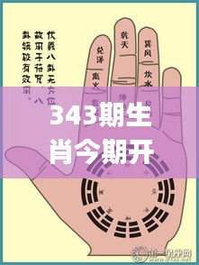 343期生肖今期开什么,详细解读解释落实_XE版6.534