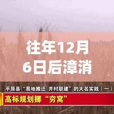 漳消村搬迁最新进展概览，观点分析与个人立场视角下的搬迁进展观察