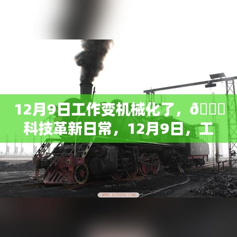 产品展示 第350页