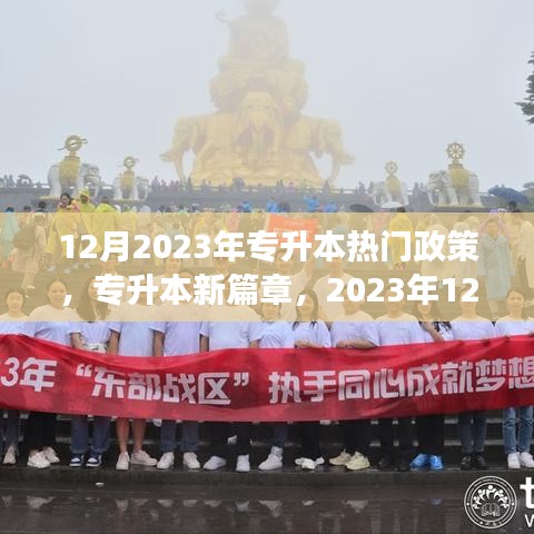 橘虞初梦 第4页