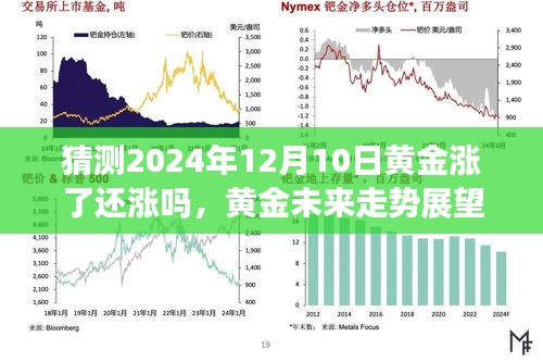 张皇铺饰 第4页