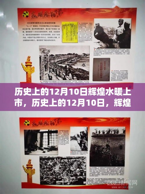 物稀为贵 第3页