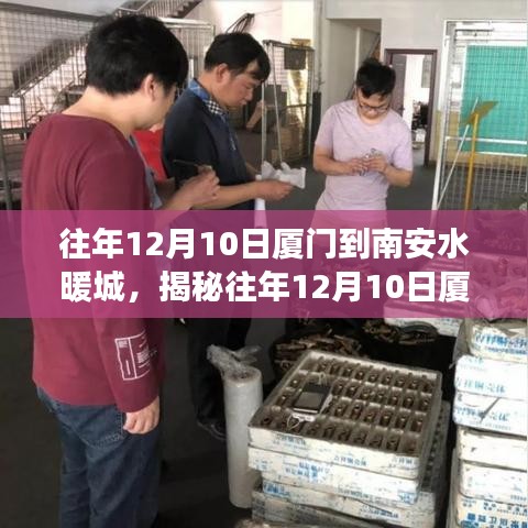 不畏权贵 第4页