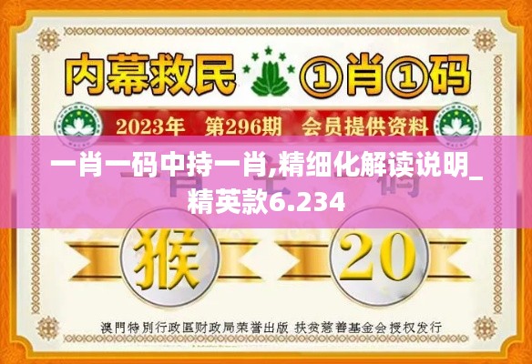 一肖一码中持一肖,精细化解读说明_精英款6.234