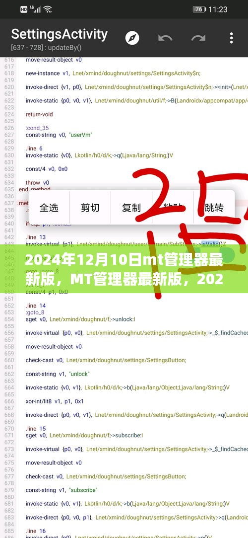MT管理器最新版回顾与展望，2024年12月10日的功能更新与未来展望