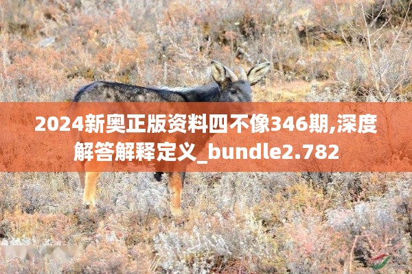 2024新奥正版资料四不像346期,深度解答解释定义_bundle2.782