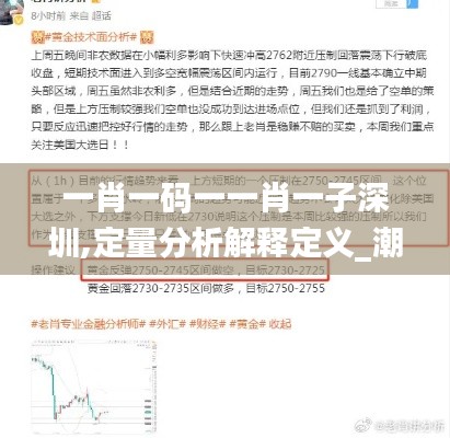 一肖一码一一肖一子深圳,定量分析解释定义_潮流版10.432