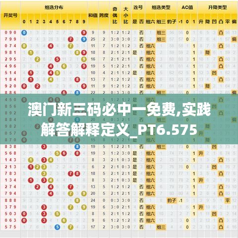 澳门新三码必中一免费,实践解答解释定义_PT6.575