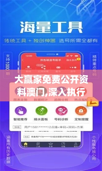 大赢家免费公开资料澳门,深入执行方案设计_V3.665