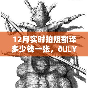 富贵功名 第3页