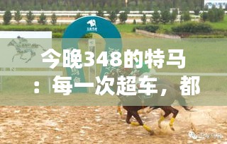 资料大全 第236页