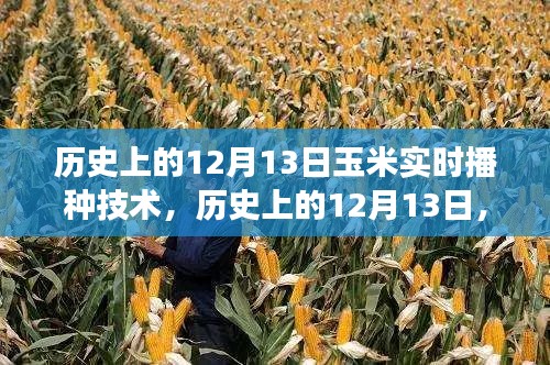 历史上的十二月十三日