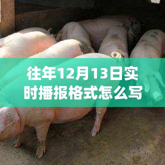 往年12月13日实时播报格式详解及图片展示与写作指南