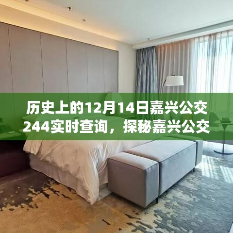探秘嘉兴公交244，历史实时查询与美食宝藏之旅