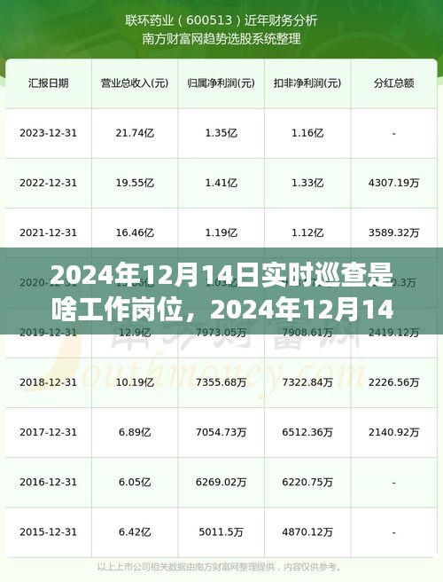 实时巡查与自然同行，奇妙旅程揭晓