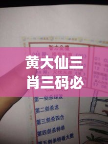 黄大仙三肖三码必中三,详述解答解释落实_顶级版8.340