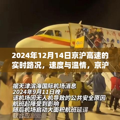 下马看花 第3页