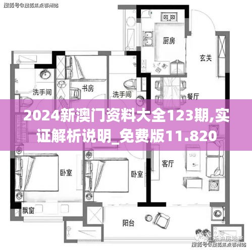 2024新澳门资料大全123期,实证解析说明_免费版11.820