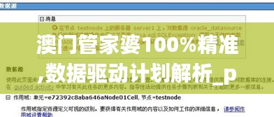澳门管家婆100%精准,数据驱动计划解析_pack9.611